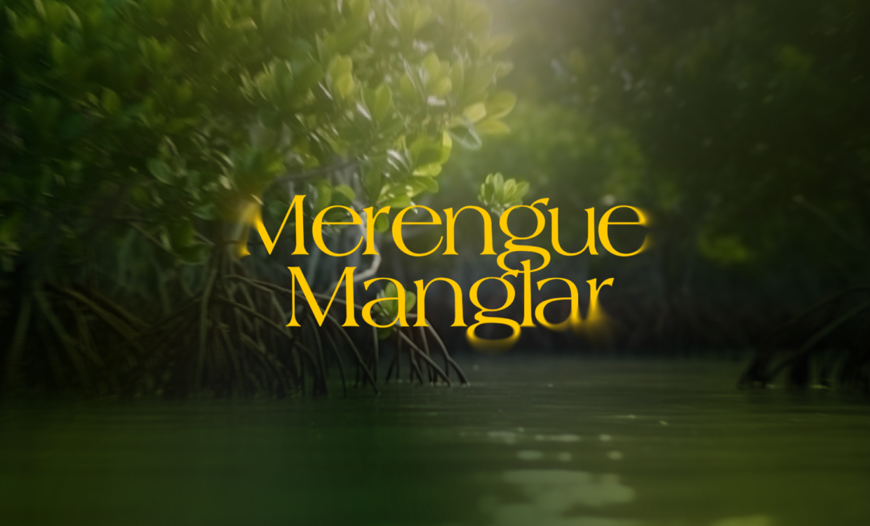 Cover-Banner-Merengue-Manglar2
